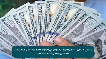 تحديث مفاجئ.. سعر الدولار بالدولار في البنوك المصرية خلال التعاملات المسائية الأربعاء 10-9-2025